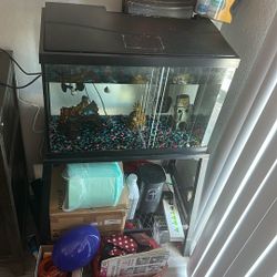 Fish Tank 