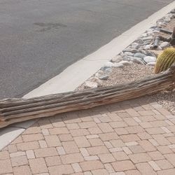9 Foot Saguaro Skeleton