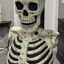 Half Skeleton 