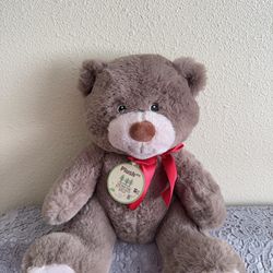 Brand New Teddy Bear Plush with Tag
