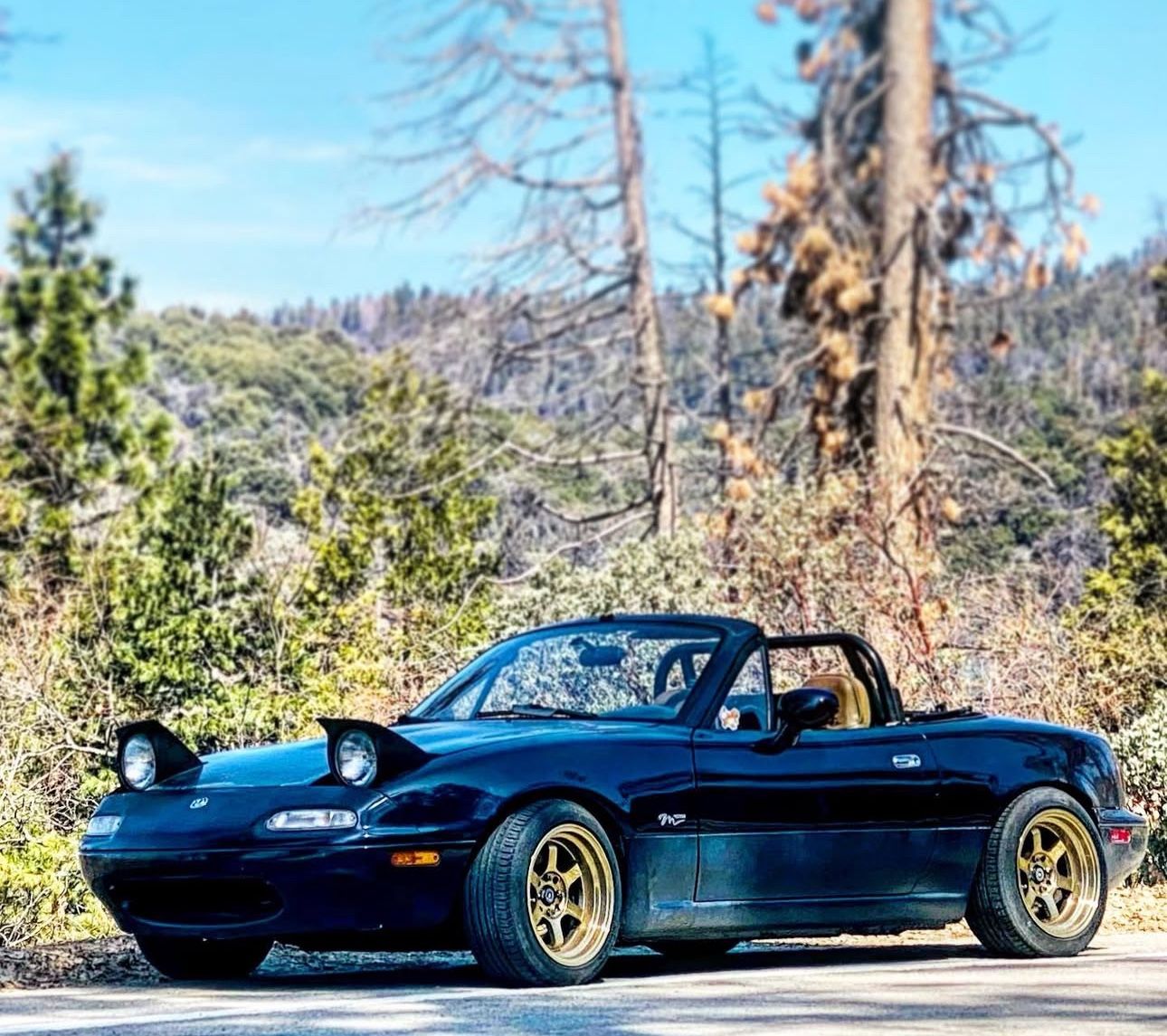 96 Mazda Miata M-Edition (Testing Waters Trades Only)