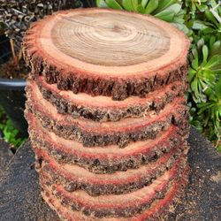 Natural Wood Slices (Centerpieces)