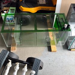 Trigger System 40 gal. Refugium Sump. 