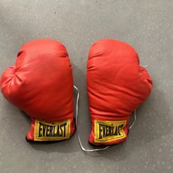 Everlast Boxing Gloves -  HALLOWEEN COSTUME