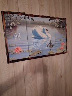 Swan Picture