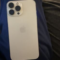 iPhone 13 Pro Max 256G