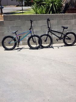 Elite BMX