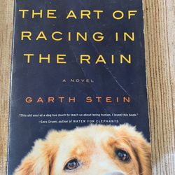 Book: There art Of racing in the rain