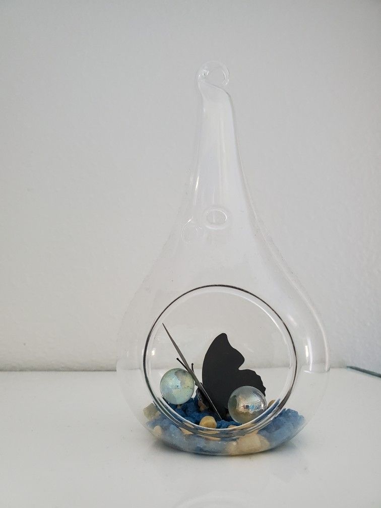Glass Air Plant Holder