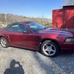 2003 Ford Mustang