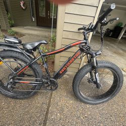E-Bike 750W 48V