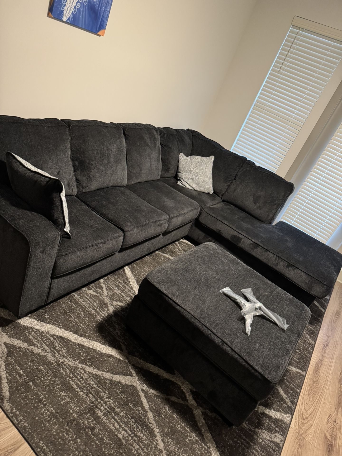 Like-New Modern Sectional Sofa with Ottoman & Rug – Smoke-Free, Pet-Free
