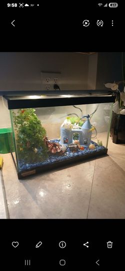 7  gallon  small size  fish tank