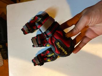 Dog boots