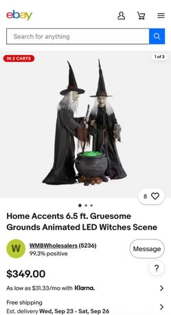 Home Accents 6.5 ft Animated LED Witches Scene