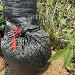 Natural Acerrin/ Wood Chips/ Saw Dust ($8 Each Or 2 For $15)