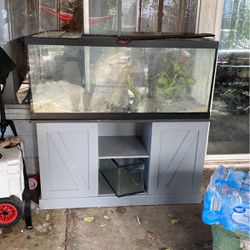 75g Fish Tank/Stand/Filter