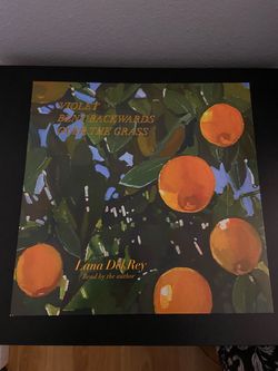 Lana Del Rey Vinyl - Violet Bent Backwards over the Grass