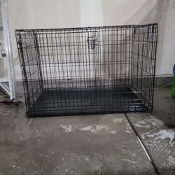 Dog Kennel 