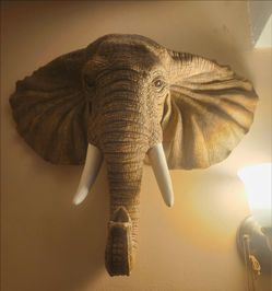 Amazing wall sculpture! Heavy!