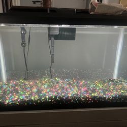 29 Gallon Fish Tank