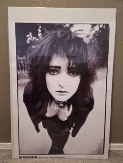 Siouxsie and the Banshees Music Poster 23x33