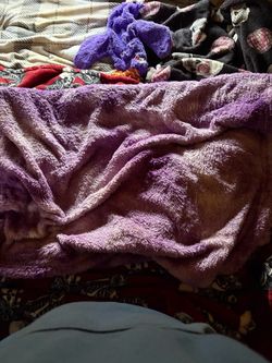 Purple blanket