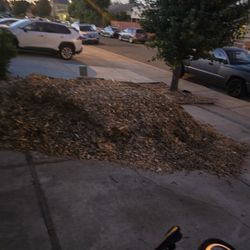 Free Bark Chips