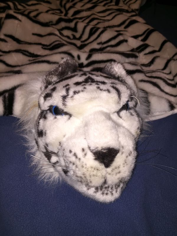 White Tiger Rug For In Schaumburg Il Offerup