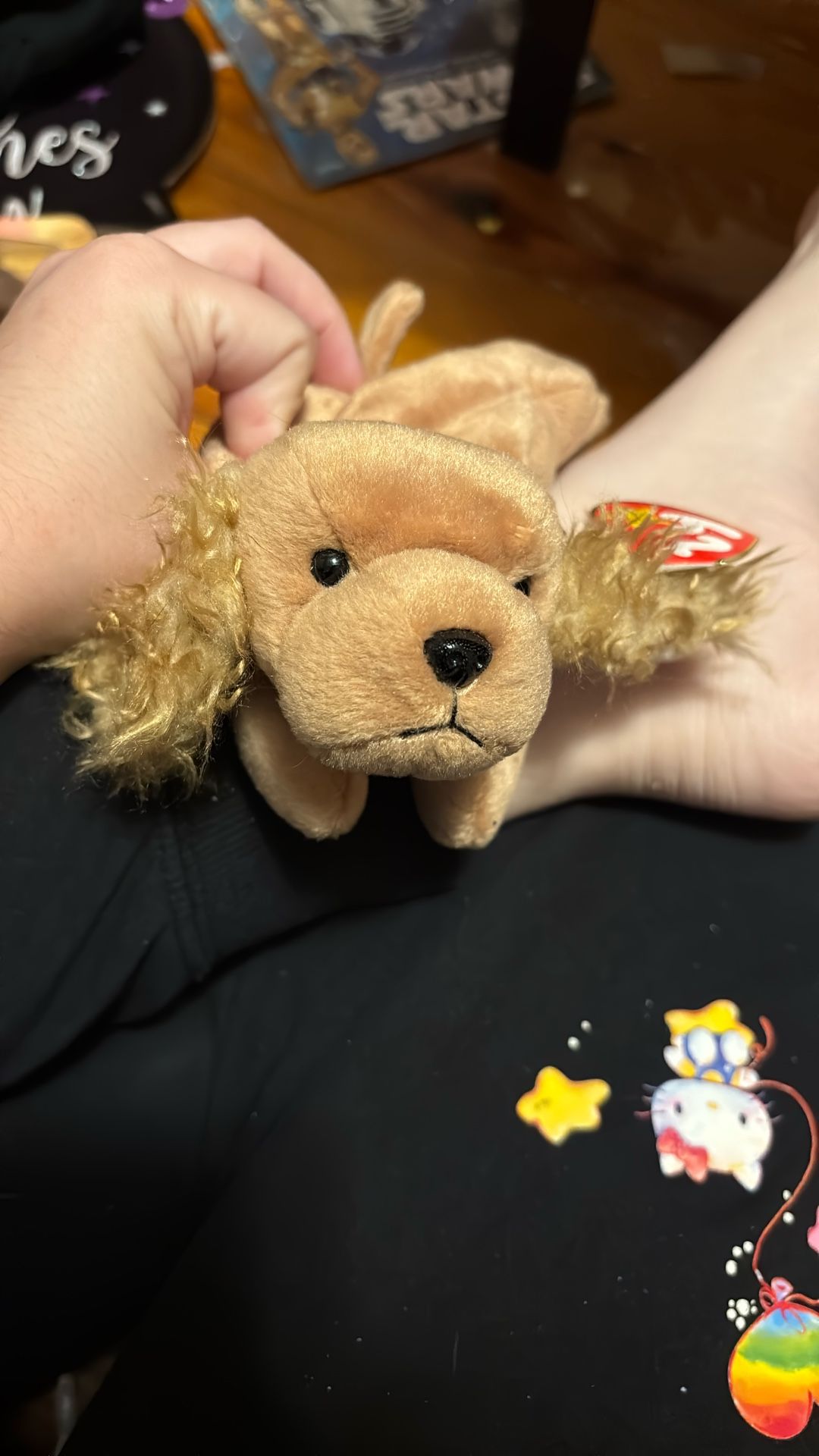Beanie Baby Spunky