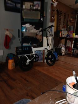 Walmart e bike