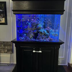 90 Gallon Saltwater Tank 