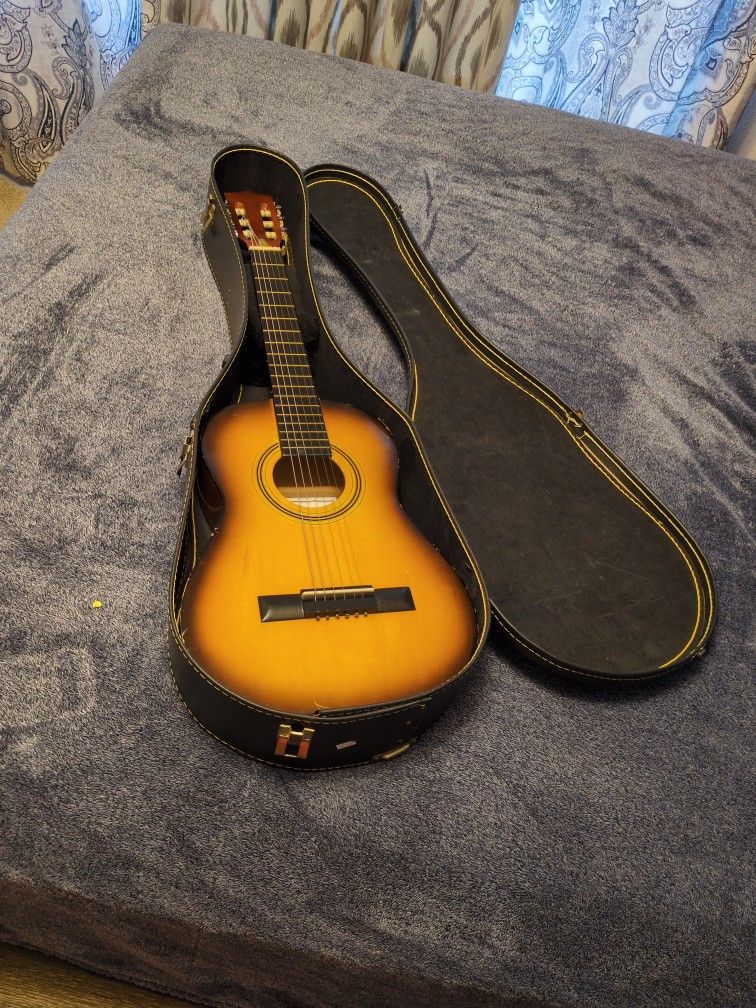 Starter Series Beginner Guitar