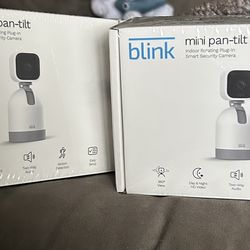 Smart Security Cameras (2)
