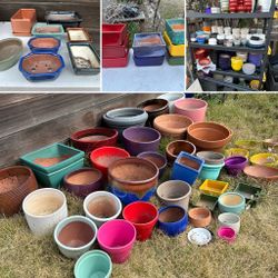HUGE Planter / Pot Sale