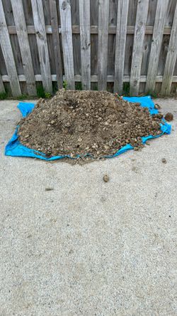 Clay Soil/dirt