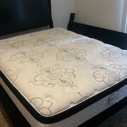 Queen Bed With Box Spring And Bedframe