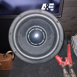 10 Inch Polk Audio Subwoofer