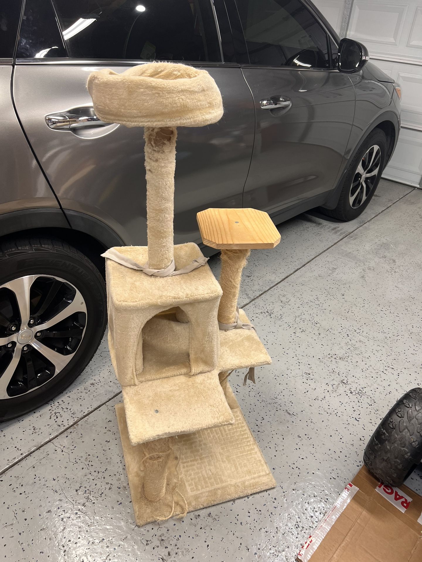 Used cat Tree