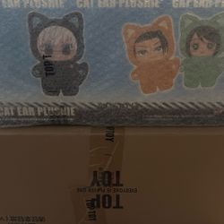 80$ Cat Ear Plushie 