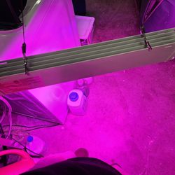 Led Grow Light