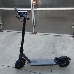 Electric Scooter For Adult