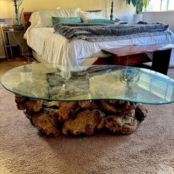 Rare Organic Rustic Burlwood Coffee Table 
