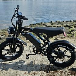 Brand New Tamobyke V20 Ebike