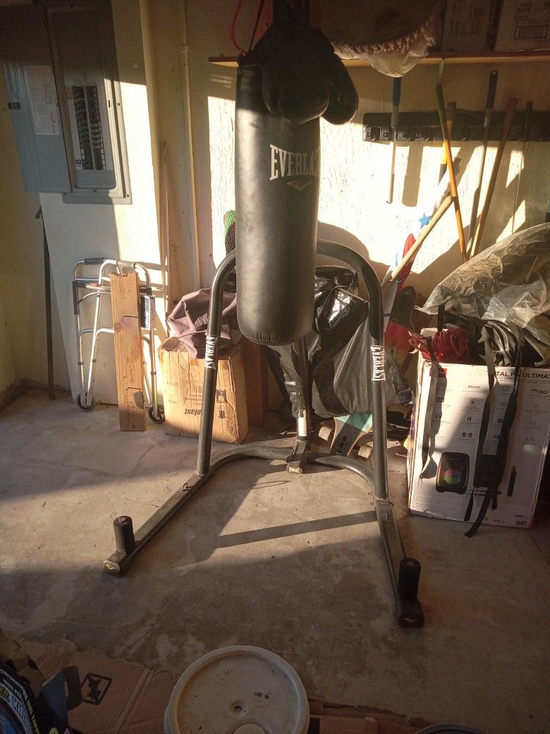 Everlast Punching Bag With Stand