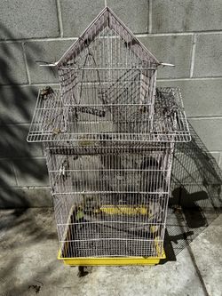 Used Bird Cages