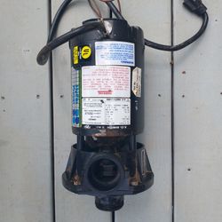 Circulating Pump