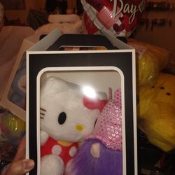 Hello Kitty Valentine Plushie Box $20 Each 