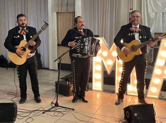 Mariachi guitars