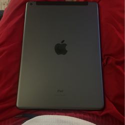 iPad 9th Gen 64gb 